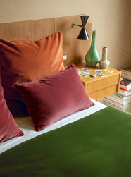 Tissu Pierre Frey - Velours Chroma - rf: F4019