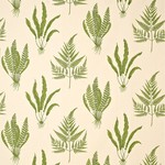 Tissu Snderson - Woodland Fern - rf: DAPGWO202 Green