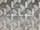 Tissu Caal - Lalique - rf: 13462.60 Argent