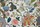 Tissu Casal - Madurai - rf: 30412.190 Multicolore ( dtail )