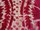 Tissu Fadini Borghi - Sforza - rf: I5004.002 Rouge ( dtail )