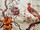 Tissu Manuel Canovas - Pavillon de Bidaine - rf: 01286.01 ( dtail )