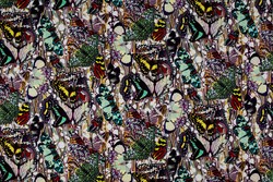 Tissu Jean Paul Gaultier - Papillons - rf: 3613.01 Multico