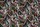Tissu Jean Paul Gaultier - Papillons - rf: 3613.01 Multico