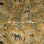 Tissu Nobilis - Cycas - rf: 10794.36