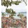 Papier peint Casamance - Cap Frhel intiss - rf: 7583.0406 Multico