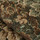 Tissu Nobilis Cluny - rf: 11004.72 ( dtail )