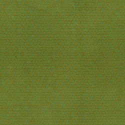 Tissu Rubelli - Luchino - rf: 30259.008 Erba