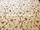 Tissu Braqueni - L'Eglantier - rf: B1755.001 Multicolore