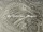 Tissu Jean Paul Gaultier - Komodo - rf: 3433.02 Beige