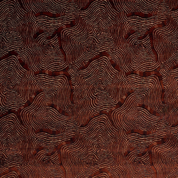 Tissu Pierre Frey - Shabeel - rf: F3855.001 Ambre