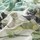 Tissu Chivasso - Heaven's Garden - rf: CH3153/091