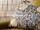 Tissu William Morris - Pimpernel ( dtail )