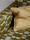Tissu Pierre Frey - Malindi - rf: F3349.003 Olive
