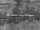 Tissu Jean Paul Gaultier - Labyrinthe - rf: 3454.01 Noir