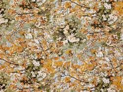 Tissu Jean Paul Gaultier - Sakura - rf: 3468.02 Dor