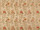 Tissu Tassinari & Chtel - Pompadour - rf: 1678.01 Ivoire
