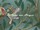 Papier peint William Morris - Bird & Pomegranate - rf: 212538 ( dtail )