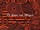 Tissu Jean Paul Gaultier - Mtisse - rf: 3456.03 Terre ( dtail )