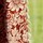 Tissu Morris & Co - Sunflower Velvet - rf: 236928 ( dtail )
