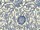 Tissu William Morris - Pink & Rose - rf: 222531 Vellum/Indigo ( dtail )