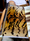 Tissu Le Manach - Tigre Velours - rf: L3353.001 Original