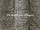 Tissu Deschemaker - Lopard - rf: 103949 Ebne