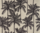 Tissu Pierre Frey - Dattiers - rf: F3942.002 Graphique