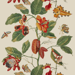 Tissu Boussac - Naka� Broderie - r�f: O7963.001 Printemps