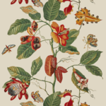 Tissu Boussac - Nakaï Broderie - réf: O7963.001 Printemps
