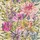 Papier peint Harlequin - Floreale - rf: 111497 Tangerine/Fuchsia
