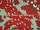 Tissu Lelievre - Les Indes - rf: 3284.01 Amazonie ( dtail )