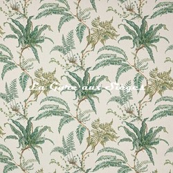 Tissu Colefax & Fowler - Woodfern - rf: F4779.01 Leaf Green