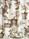 Tissu Pierre Frey - Kyoto - rf: F3335.001 Original