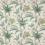 Tissu Colefax &amp; Fowler - Woodfern - rf: F4779.01 Leaf Green