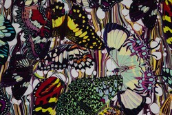Tissu Jean Paul Gaultier - Papillons - rf: 3613.01 ( dtail )