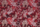 Tissu Jean Paul Gaultier - Kyoto - rf: 3466.02 Grenat