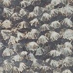Tissu Zoffany - Iliad - rf: 322619 Blue Stone