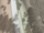 Tissu Lelievre - Lancelot - rf: 4214.01 Ivoire ( dtail )