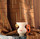 Tissu Casamance - Lusio - rf: 4574.0424 Terre de Sienne