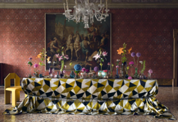 Tissu Fadini Borghi - Arlecchino - rf: I6630.002 Quadrato