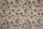 Tissu Quenin - Flanerie - rf: 4270.01 Printemps