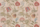 Tissu Braqueni - Les Indes galantes - rf: B7578.001 Multicolore