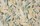 Tissu Pierre Frey - Le Chant de Tidore - rf: F3252.001 Tee-time