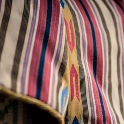 Tissu Pierre Frey - Arizona - rf: F3238.001 Sable rose ( dtail )