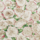 Tissu Pierre Frey - Roses anciennes - rf: F2728.002 Nacre
