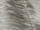 Tissu Lelivre - Merisier - rf: 0611.05 Argent