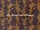 Tissu Mtaphores - Bengale - rf: 71441.003 Flamboyant
