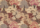 Tissu Lelièvre - La Canopée - réf: 5076.02 Camel
